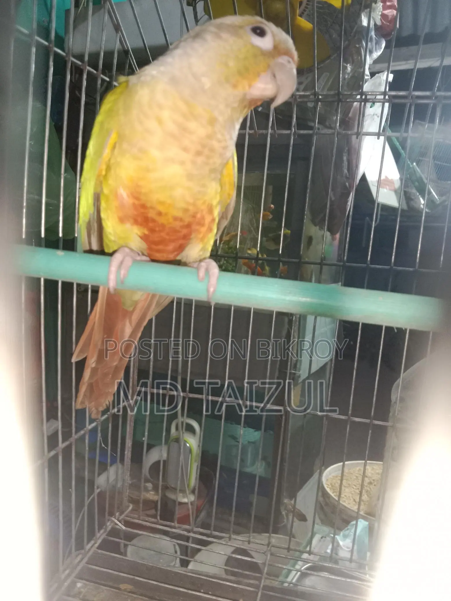 পাইনাপেল কুনুর বিক্রি হবে
