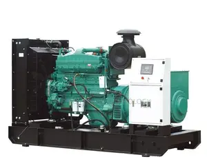 Brand New 250 KVA/200 KW Cummins Series Open Gen-Set for sale.