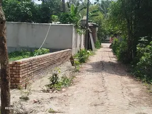 6 Decimal Land for Sale in Madaripur