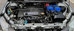 Toyota Axio Corolla X CNG 2014
