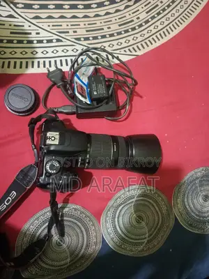 Canon 1200D/Lens 55/250 Zoom
