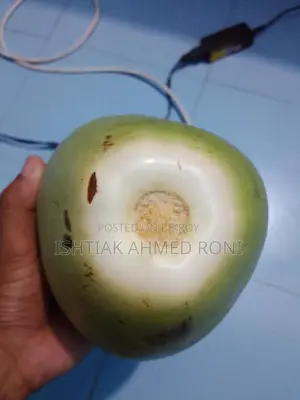 ডাব - Coconut
