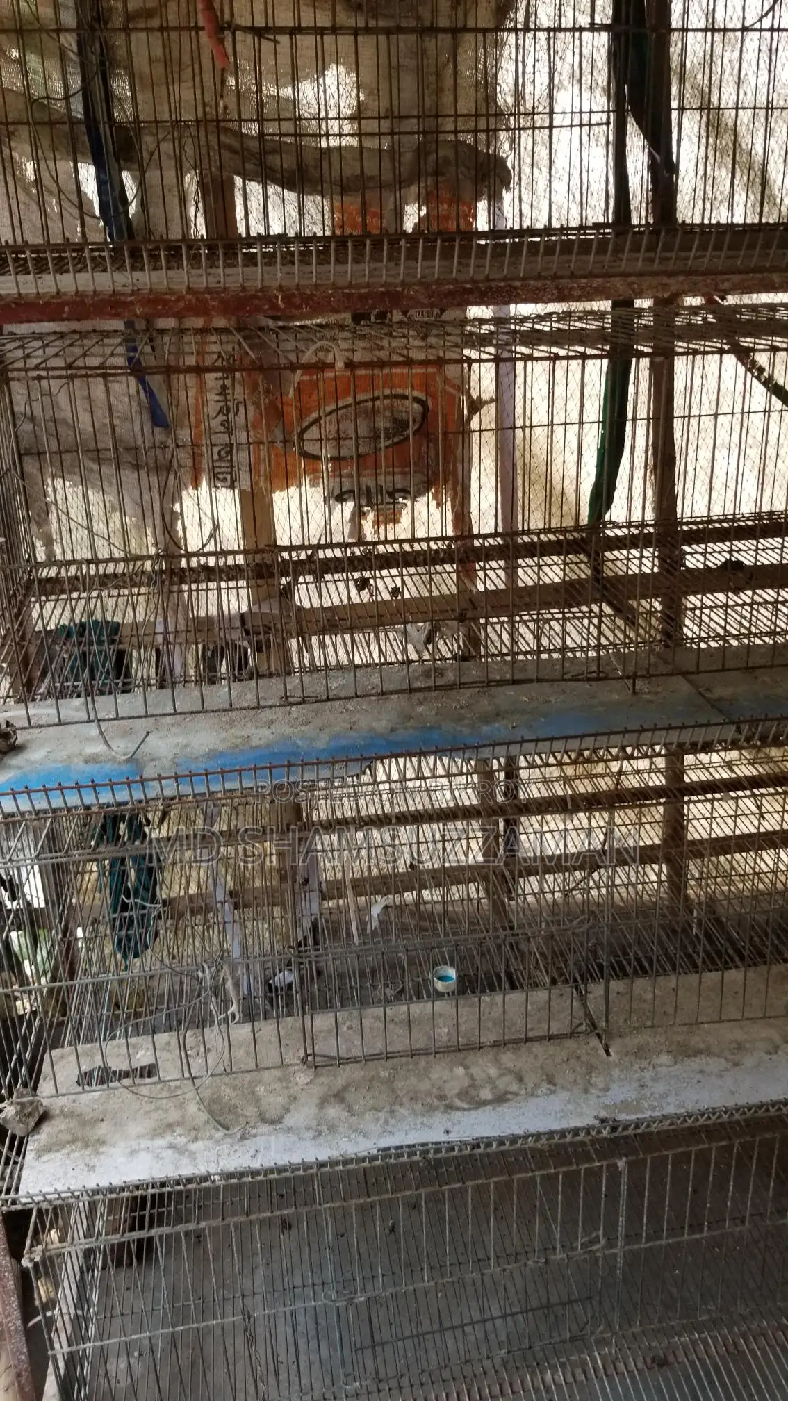 কোয়েল পাখির খাঁচা