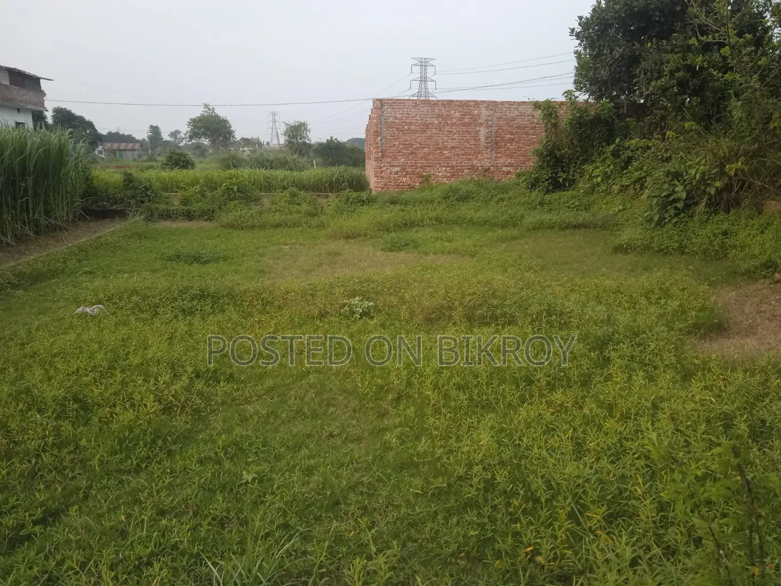 ২ কাঠার প্লট বিক্রি হবে
