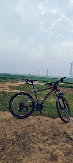 Selling my bicycle