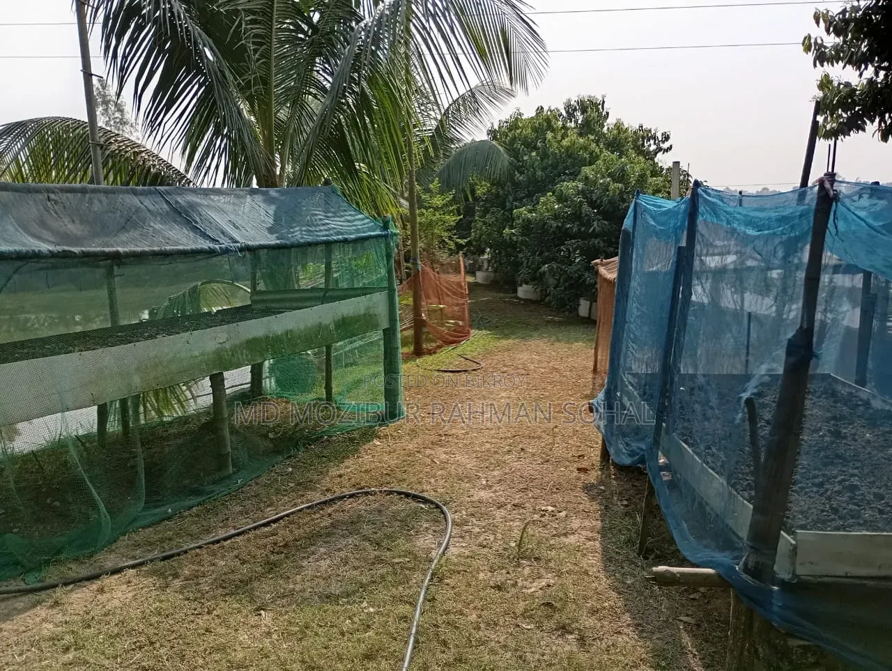 Highly Suitable for Agro Projects