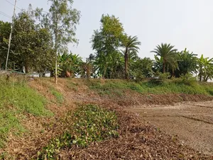 Highly Suitable for Agro Projects