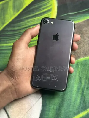 Apple iPhone 7 (Used)