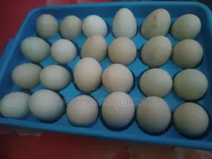 দেশী হাসের ডিম বিক্র‍য় করা হবে
