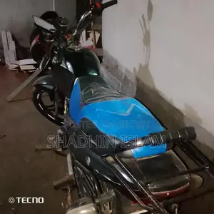 Dayang Runner AD100 2025