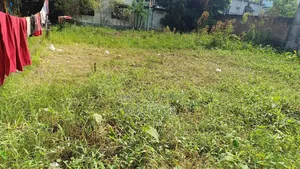 আবাসিক জমি