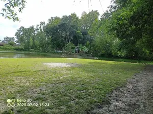 Farmhouse, Pond, Land, House with Electricity, Camera, Wifi