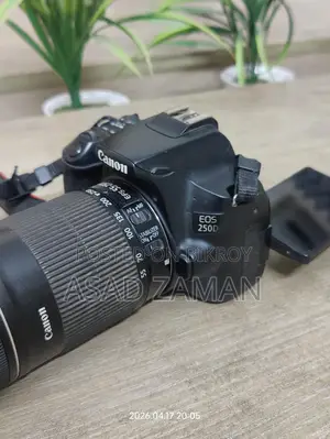 Canon 250d with 55-250mm stm Zoom lens