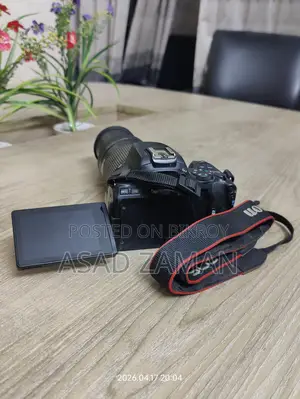 Canon 250d with 55-250mm stm Zoom lens