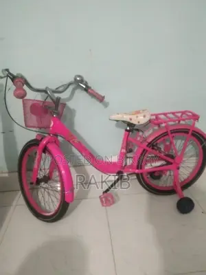 Duranta Bicycle for sale
