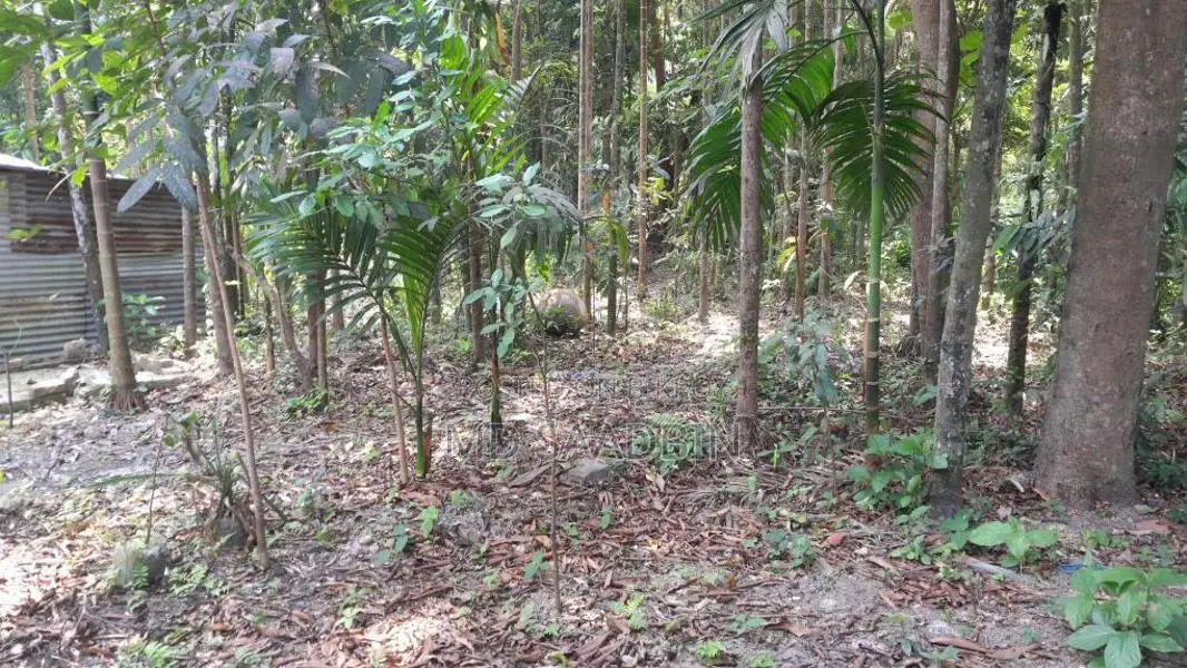 Urgent sale of 4.5 decimal and 3 decimal land