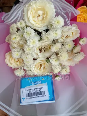 গ্রামীণ প্রিপেইড সিম