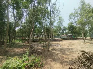 For Factory, Warehouse, or Shed