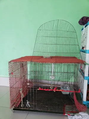 ভালো মানের মাঝারি সাইজের খাঁচা