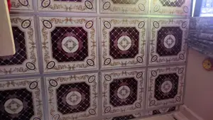 Furnished 3bdrm Farm House in কাজী মঞ্জিল, Shahrasti for sale