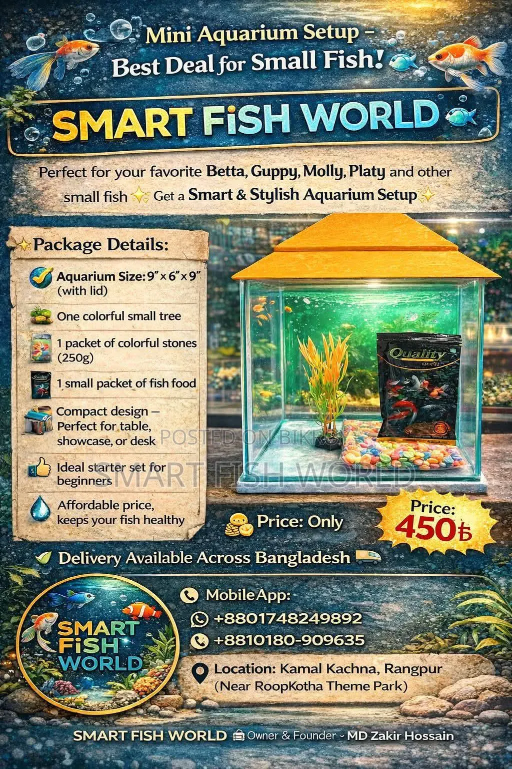 Aquarium Set Up