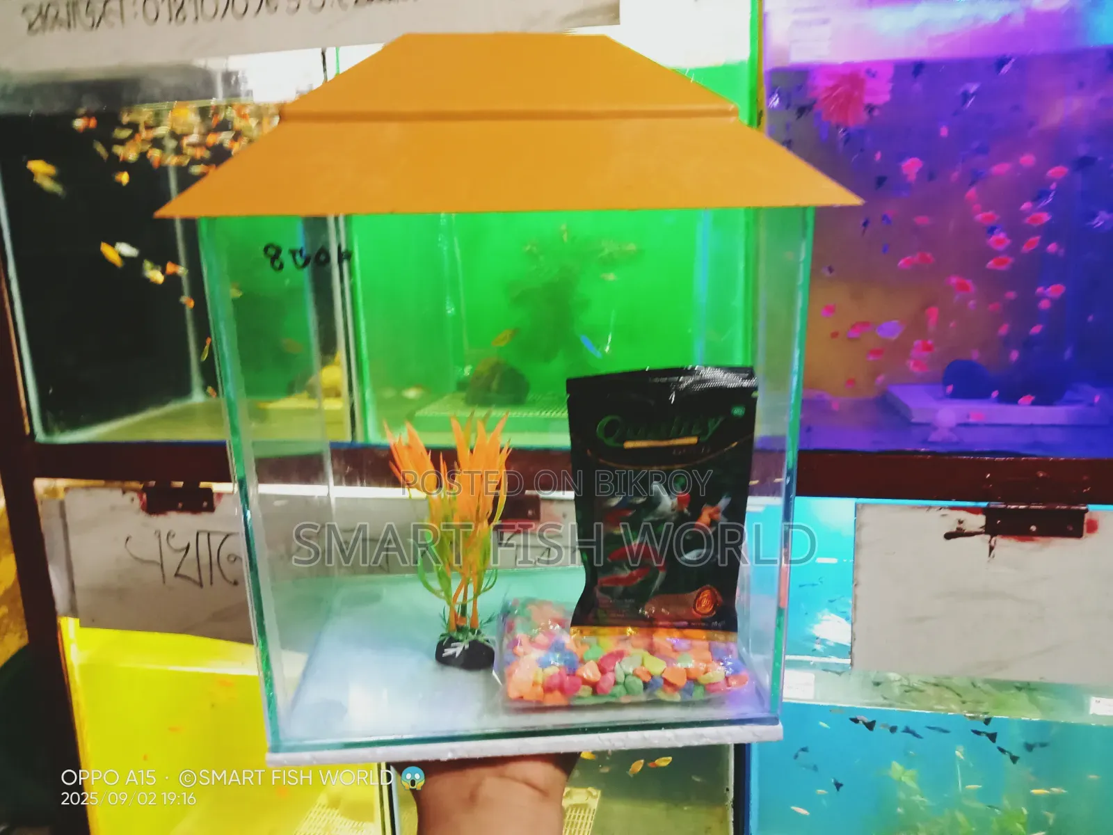 Aquarium Set Up