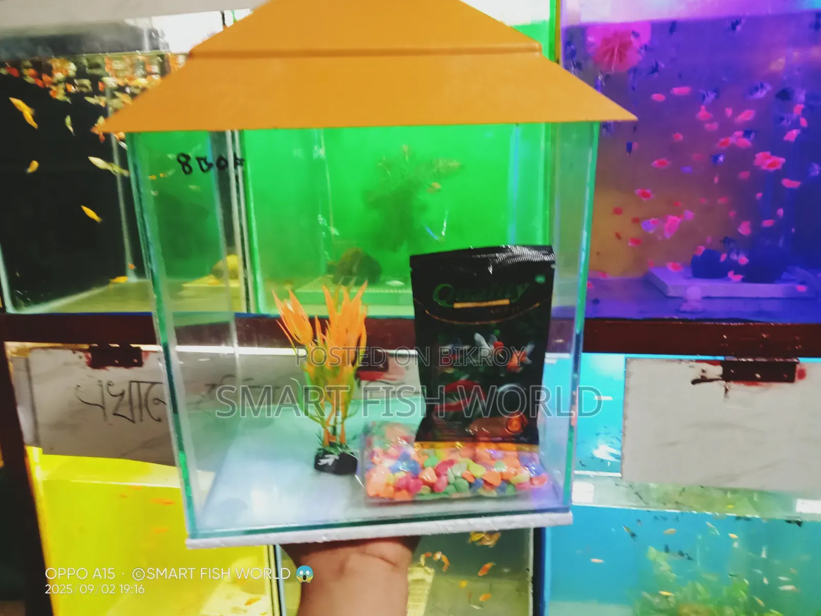 Aquarium Set Up