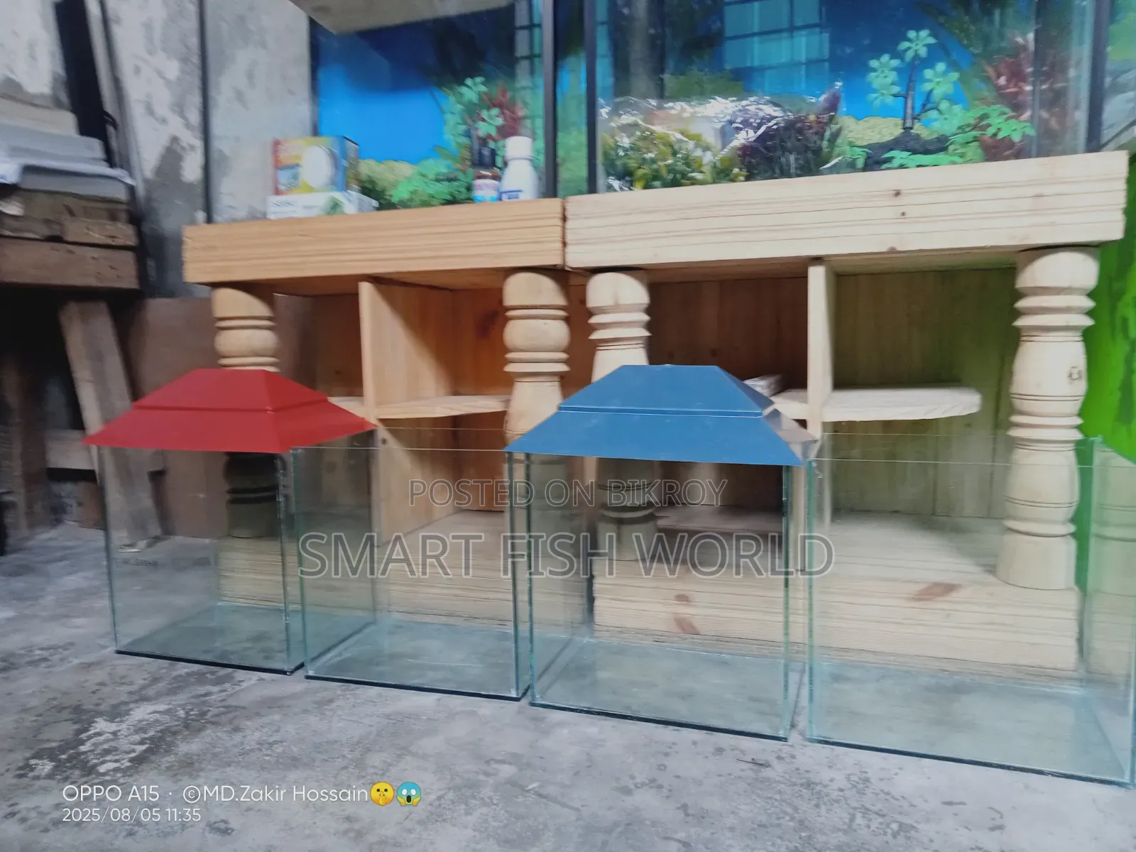 Aquarium Set Up