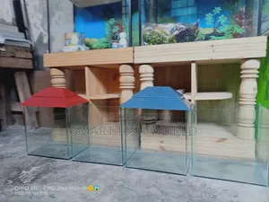 Aquarium Set Up