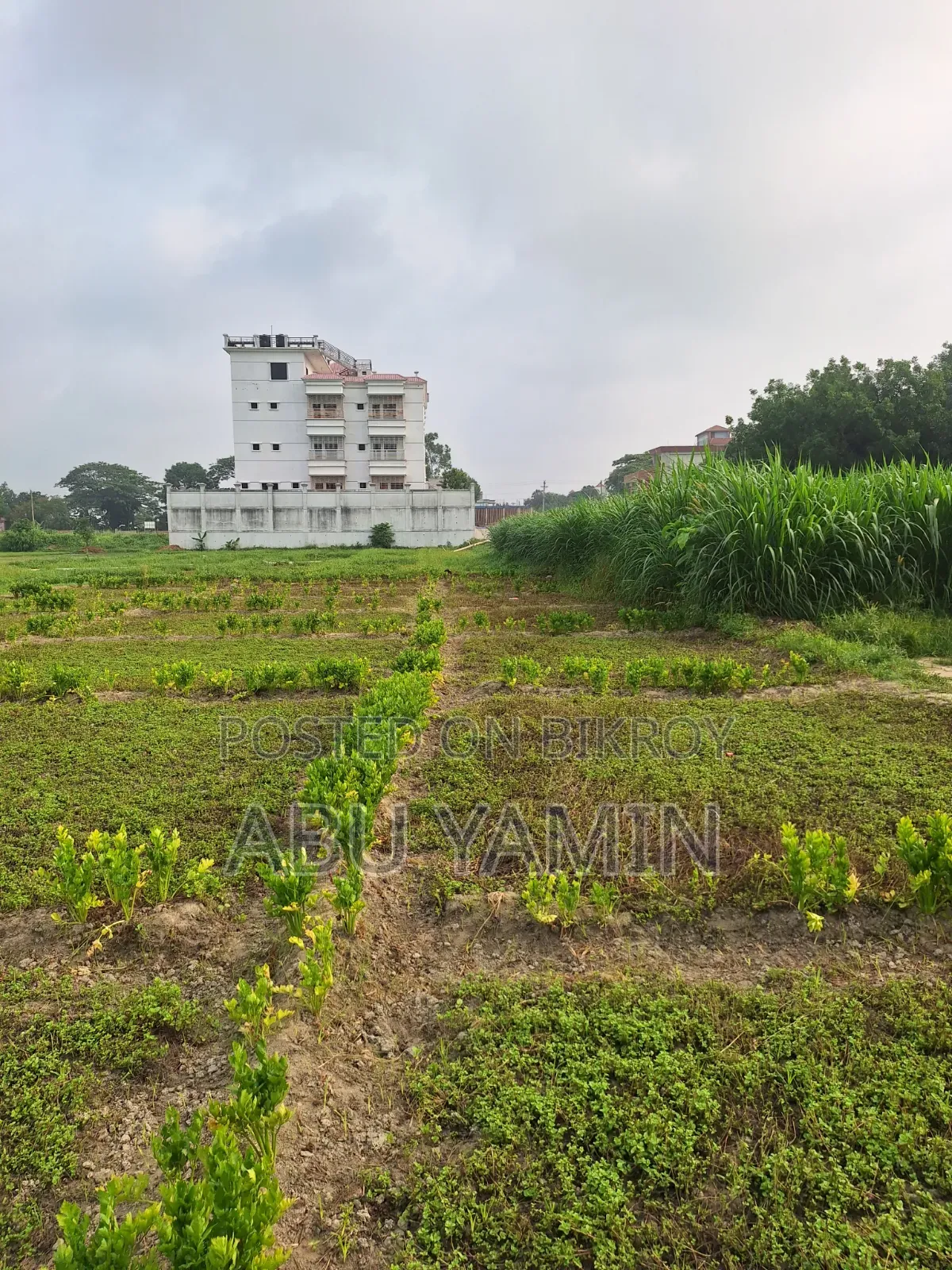 ঢাকার একদম নিকটে কম দামে ছোট জায়গা হোক আপনার!