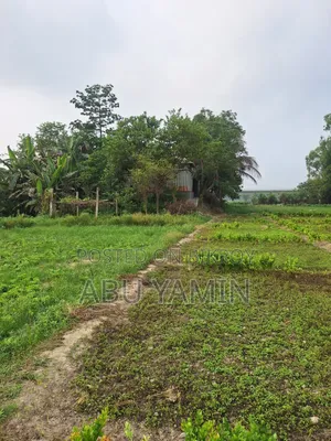 ঢাকার একদম নিকটে কম দামে ছোট জায়গা হোক আপনার!
