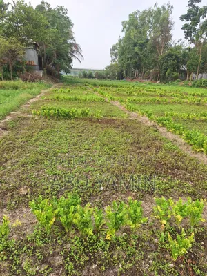 ঢাকার একদম নিকটে কম দামে ছোট জায়গা হোক আপনার!