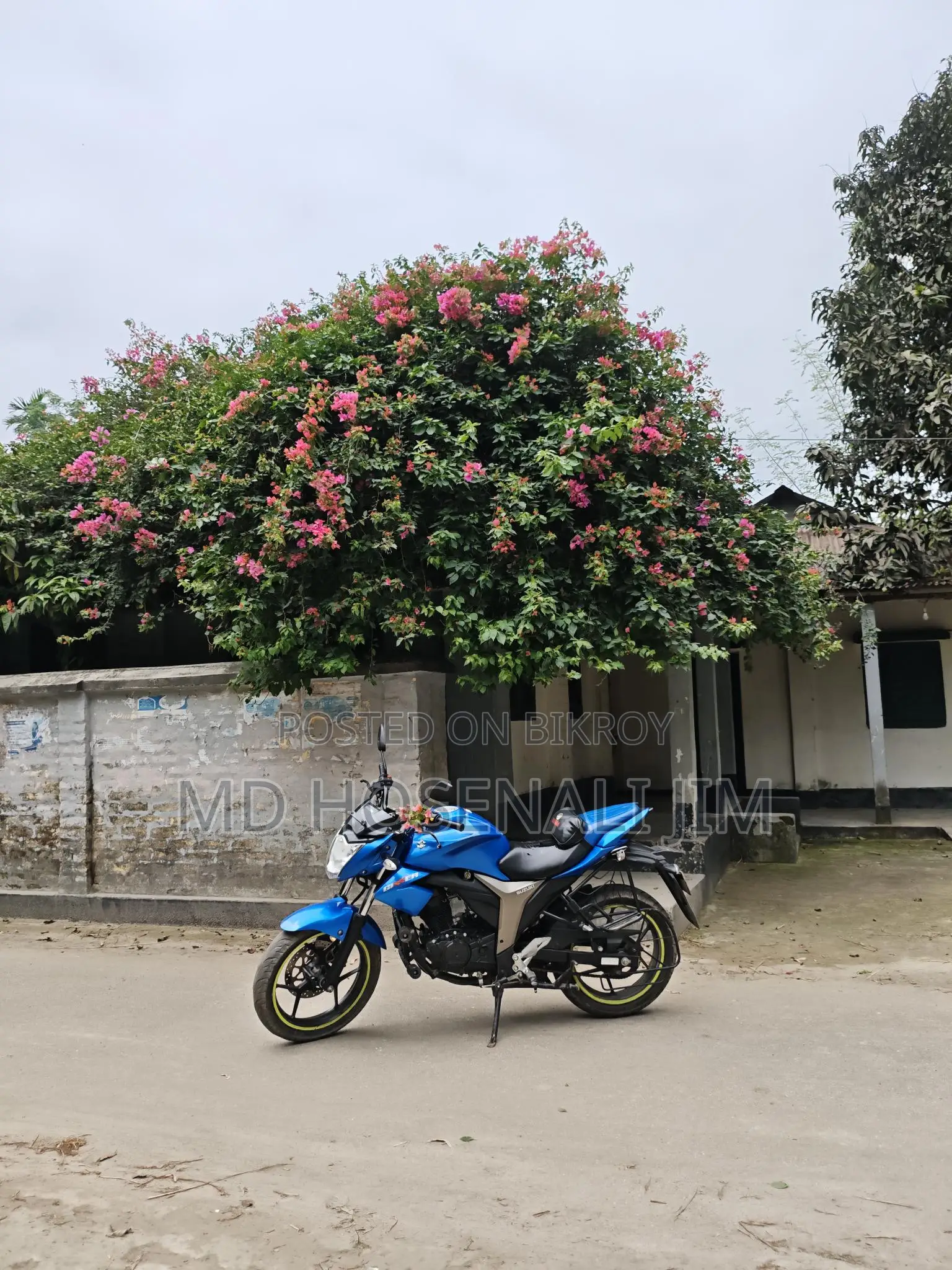 Suzuki Gixxer Monotone 2022