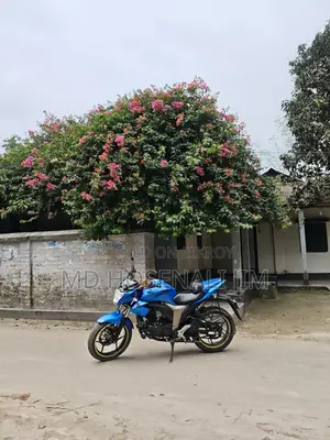 Suzuki Gixxer Monotone 2022