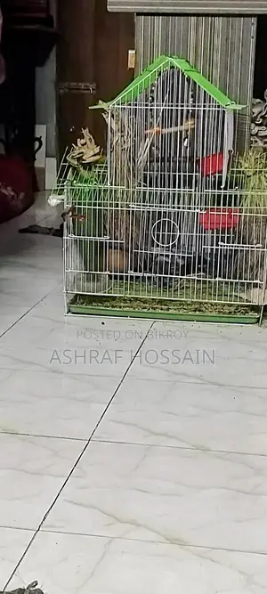 পাখির খাঁচা বিক্রি