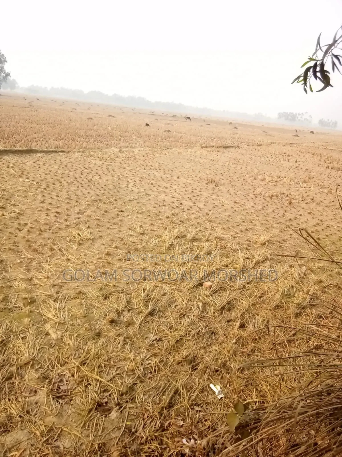 Land for Sale in Venda Bari