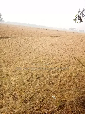 Land for Sale in Venda Bari