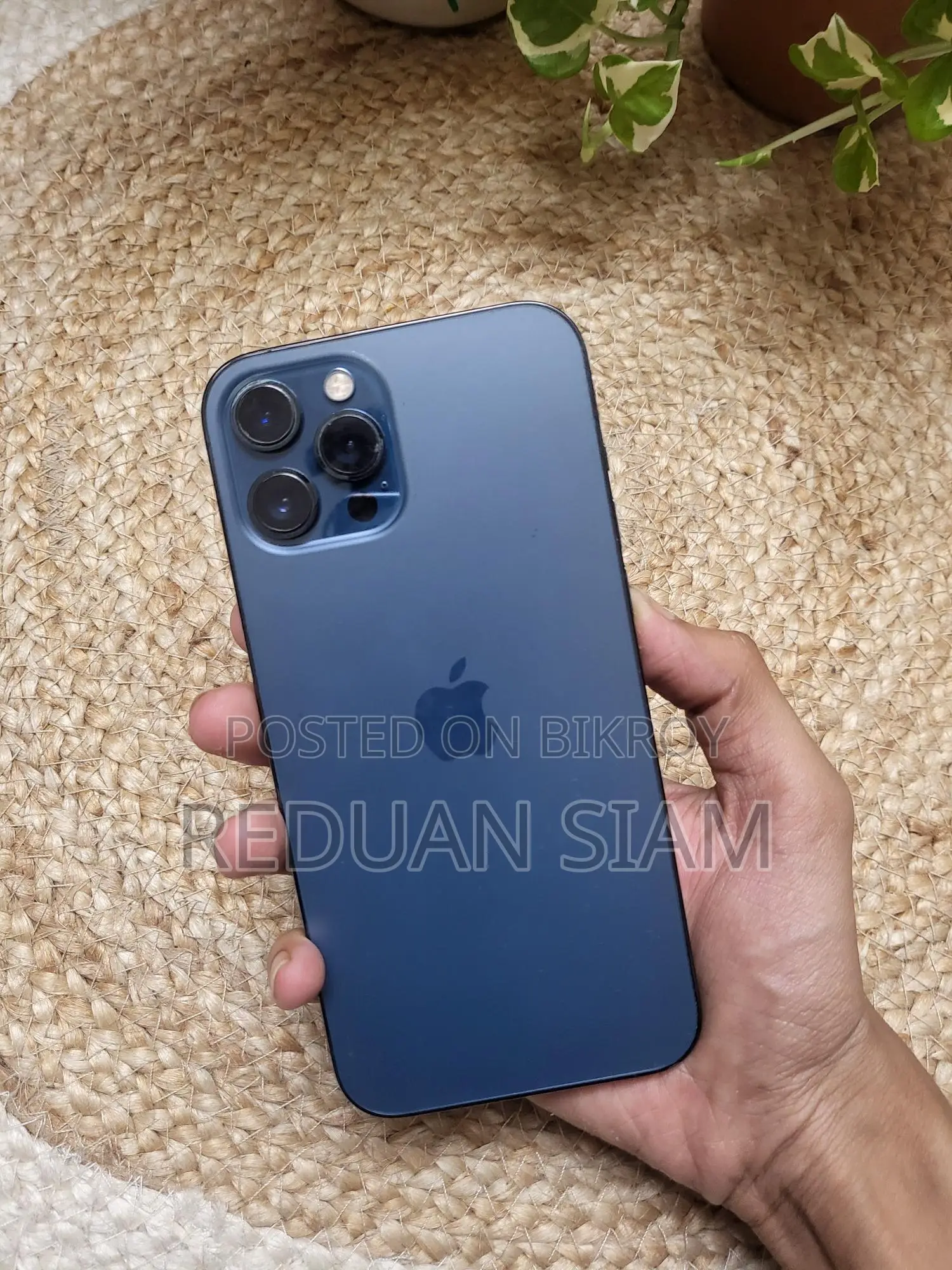 Apple iPhone 12 Pro Max (Used)