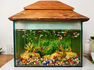 8/12 Inch Aquarium