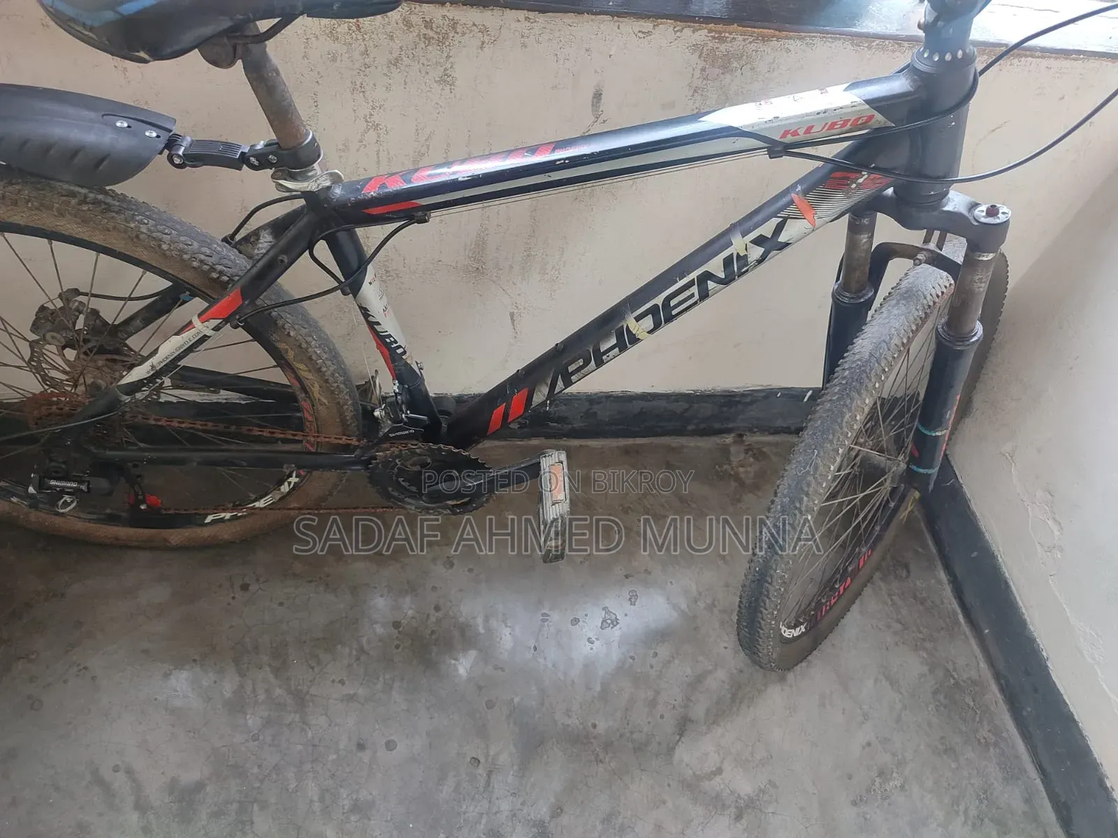 Phoenix Caycel (26)