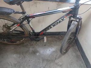 Phoenix Caycel (26)
