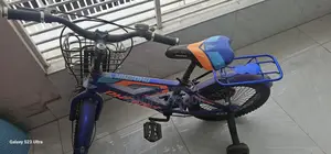 Phoenix Cycle