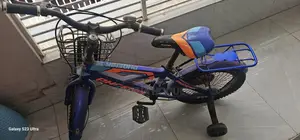 Phoenix Cycle