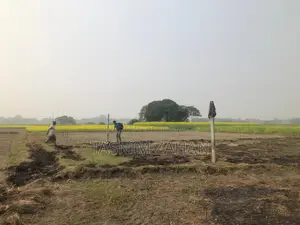 ৬ শতক জমি বিক্রয় হবে