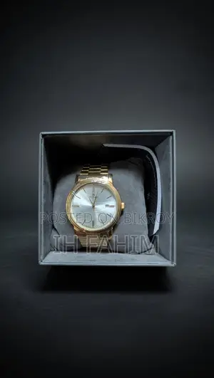 Titan Quartz Analog