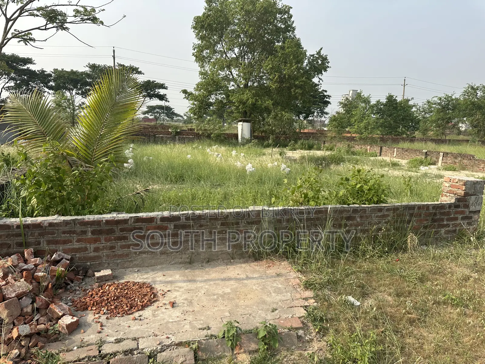 N Block 3 Katha South Facing Plot at Bashundhara