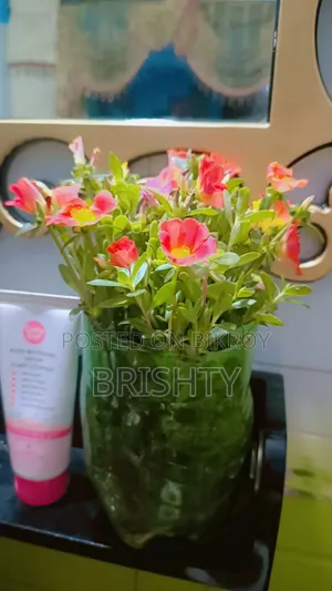 গাছ সেল করতে চাই