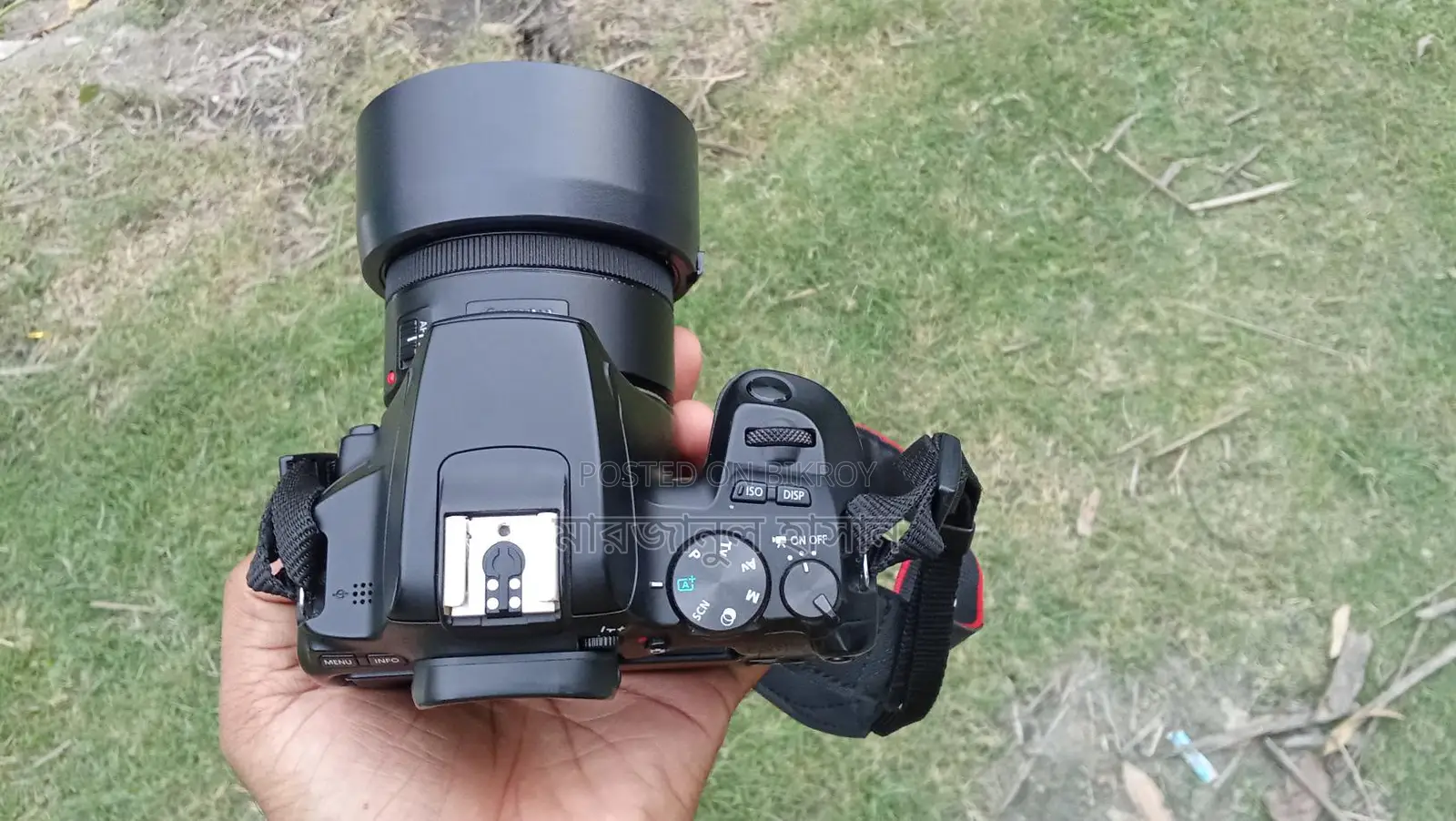 Canon 250d camera 50 mm stm prime lens
