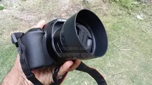 Canon 250d camera 50 mm stm prime lens