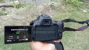 Canon 250d camera 50 mm stm prime lens